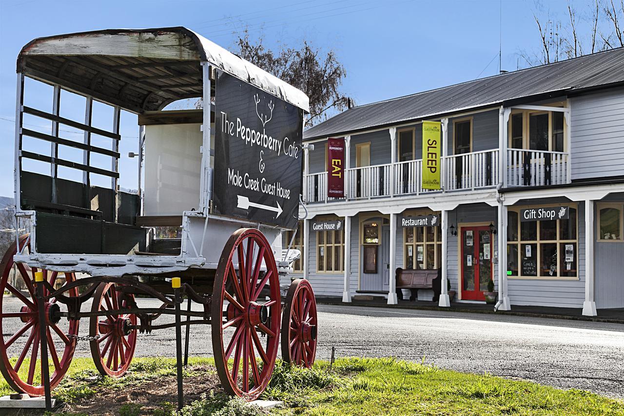 Mole Creek Guesthouse Exteriér fotografie