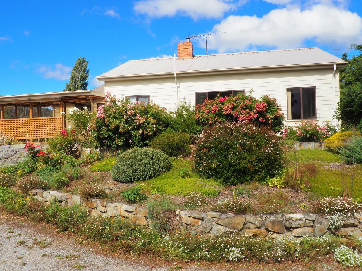 Mole Creek Guesthouse Exteriér fotografie