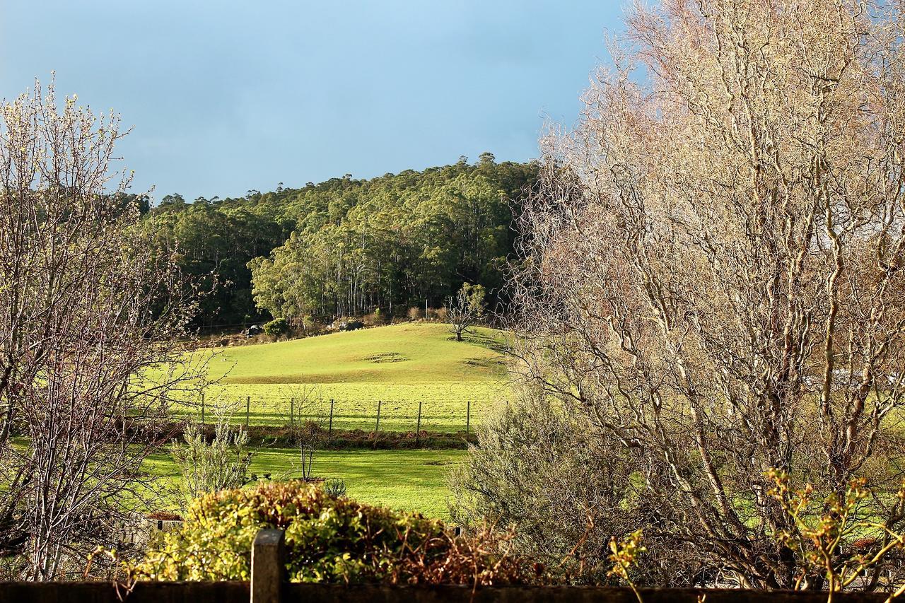 Mole Creek Guesthouse Exteriér fotografie