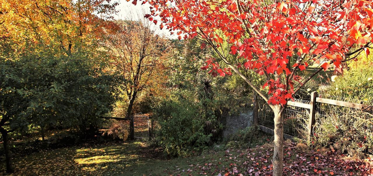 Mole Creek Guesthouse Exteriér fotografie